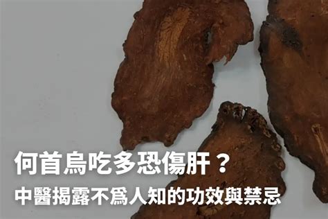 何首烏一斤多少錢|何首烏秋冬進補怎麼吃？醫列功效禁忌＋何首烏藥膳做。